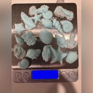 Ocean-Themed handmade sea salt and sage goat milk Soap Set 20.2 grams